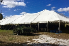Christmas Tree Tent Narcoossee St. Orlando, FL