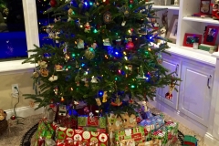 Christmas Tree and Presents 2015