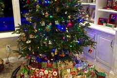Christmas Tree and Presents 2015
