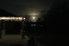 SpaceX Rocket Launch NASA