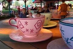 Teacups at the Magic Kingdom