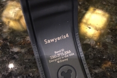 Disney's Wilderness Lodge Magic Band