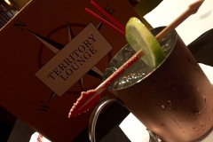 Disney's Wilderness Lodge Territory Lounge Moscow Mule