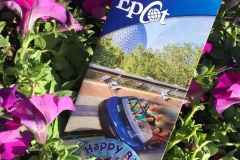 Epcot Birthday Button and Map