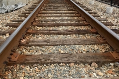 Sunrail Tracks at Sand Lake Road Station