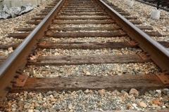 Sunrail Tracks at Sand Lake Road Station