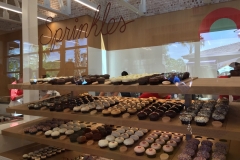 Disney Springs Sprinkles