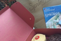 Disney Springs Sprinkles