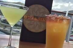 Disney Fantasy Cruise - Meridian Bar Menu