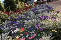 Epcot Holiday\'s Around the World