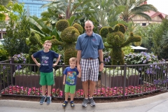 Disneyland Hotel Topiaries