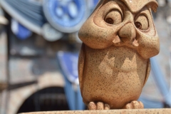 Owl in front of Sleeping Beauty Castle Disneyland