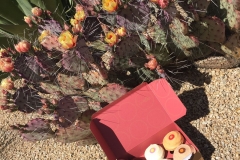 Sprinkles Cupcakes Scottsdale AZ