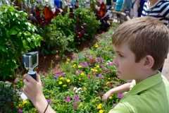 Butterfly Garden Epcot Flower & Garden 2016