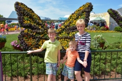 Butterfly Garden Epcot Flower & Garden 2016