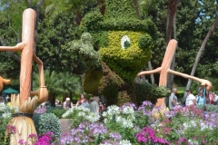 Mickey Topiary Epcot Flower & Garden 2016