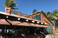 Disney Dream Castaway Cay Conched Out