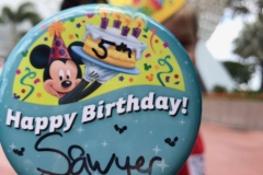 Epcot Spaceship Earth Entrance Birthday Button