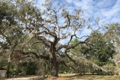 Discovery Costal Museum - Hilton Head Island