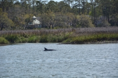 Disney\'s Hilton Head Island Resort