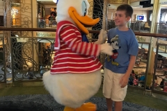 Disney Fantasy Donald Duck