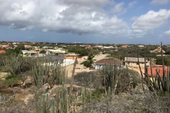 Disney Fantasy Aruba Sightseeing