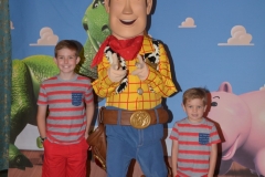 Disney Fantasy 10 Night Cruise - Woody