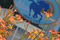 Door County Wisconsin - Blue Horse Beach Cafe