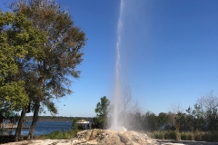 Disney's Wilderness Lodge - Geyser