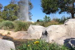 Disney's Wilderness Lodge - Geyser