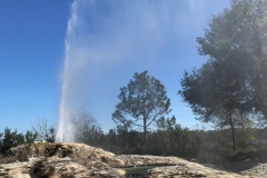 Disney's Wilderness Lodge - Geyser