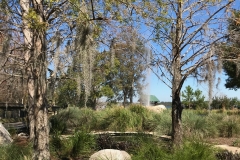 Disney's Wilderness Lodge - Geyser