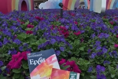 Epcot Festival of the Arts 2018