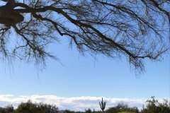 Scottsdale, AZ