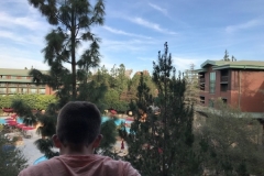 Disney\'s Grand Californian Hotel View