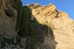 Corona Del Mar Beach California