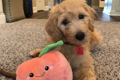 First Day With Peach