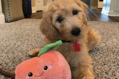 First Day With Peach