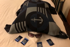 Disney Magic Stateroom Blanket 2019