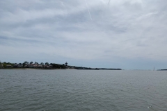 Dolphins - Pontoon Boat Rental - Hilton Head Island