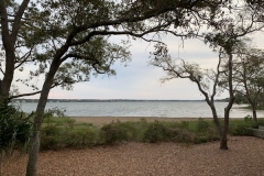 High Tide - Disney\'s Hilton Head Island Resort