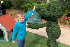 Mickey Topiary - Disney\'s Hilton Head Island Resort