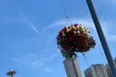 Seattle Waterfront