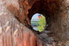 Disney Wonder Alaska Cruise Icy Strait Point Day 3
