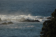 Pacific Ocean Waves