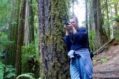 Russian Gulch State Park Photography Mendocino California