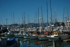 Sailboats Docked in San Francisco CA