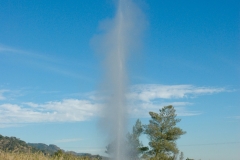 Old Faithful Geyser of California