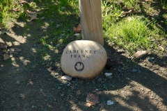 Wine Stone Marker Robert Mondavi Vineyard Napa Valley CA