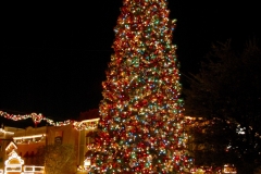 Disneyland Park Christmas Tree Town Square